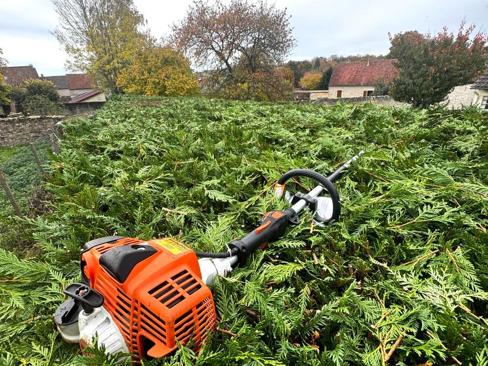 Taille de haies de thuyas et évacuation des déchets verts par Topiclean